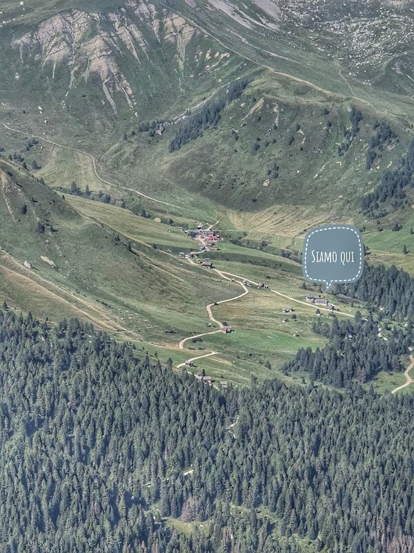 f354f9bc-8347-4450-82c4-5e206dbe7f76_SnapseedCopy